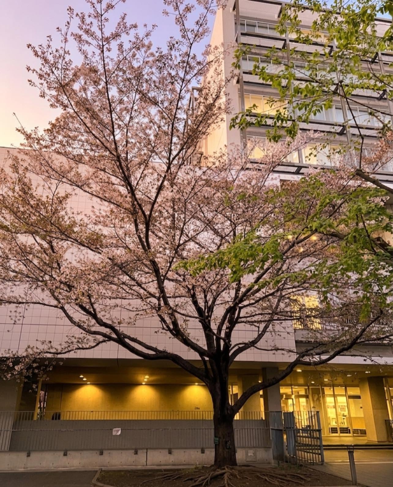 Digital Content Production Course Begins at Seijo University